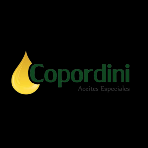 COPORDINI S.A