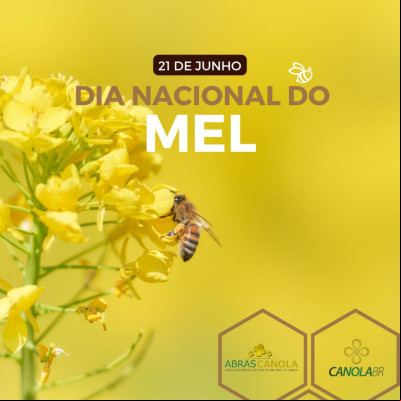 DIA NACIONAL DO MEL