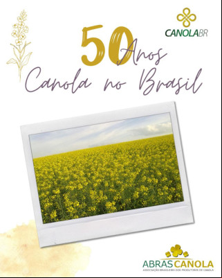 50 anos da canola no Brasil