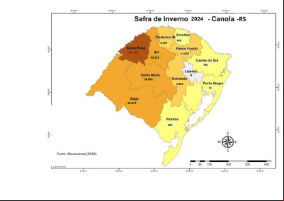 Safra canola no  Rio Grande do Sul 2024